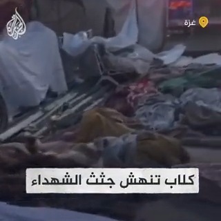 "هل يرضيكم هذا يا عرب ويا مسلمون؟".. مدير وزارة الصحة بغزة متأثرا على الهواء: رأينا الكلاب المسعورة تنهش جثث الشهداء المتكدسة في ساحة مجمع الشفاء ولم نستطع أن نوقفها #حرب_غزة