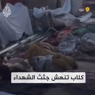 "هل يرضيكم هذا يا عرب ويا مسلمون؟".. مدير وزارة الصحة بغزة متأثرًا على الهواء: رأينا الكلاب المسعورة تنهش جثث الشهداء المتكدسة في ساحة مجمع الشفاء ولم نستطع أن نوقفها