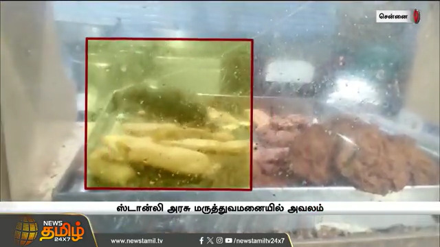 கேண்டீனில் தின்பண்டங்களை உண்ணும் எலி.. ஸ்டான்லி அரசு மருத்துவமனையில் அவலம் #Chennai #StanleyHospital #Canteen #Rat #NewsTamil24x7