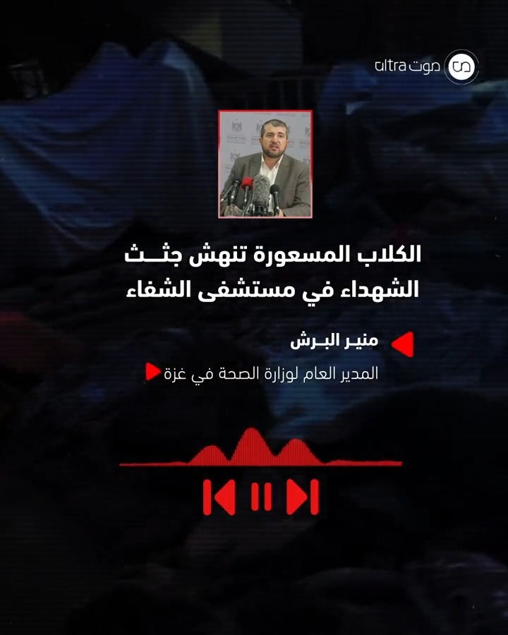 عشرات جثث الشهداء في #مستشفى_الشفاء المحاصر يمنع الاحتلال دفنها، والكلاب تنهشها. المزيد عبر تطبيق تيليغرام: