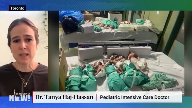 “I can describe to you in detail what death will look like for these patients.” Tanya Haj-Hassan of Doctors Without Borders / Médecins Sans Frontières shares what doctors are reporting from Gaza as hospitals are completely surrounded by Israeli forces, out of electricity and unable to treat patients in critical care.