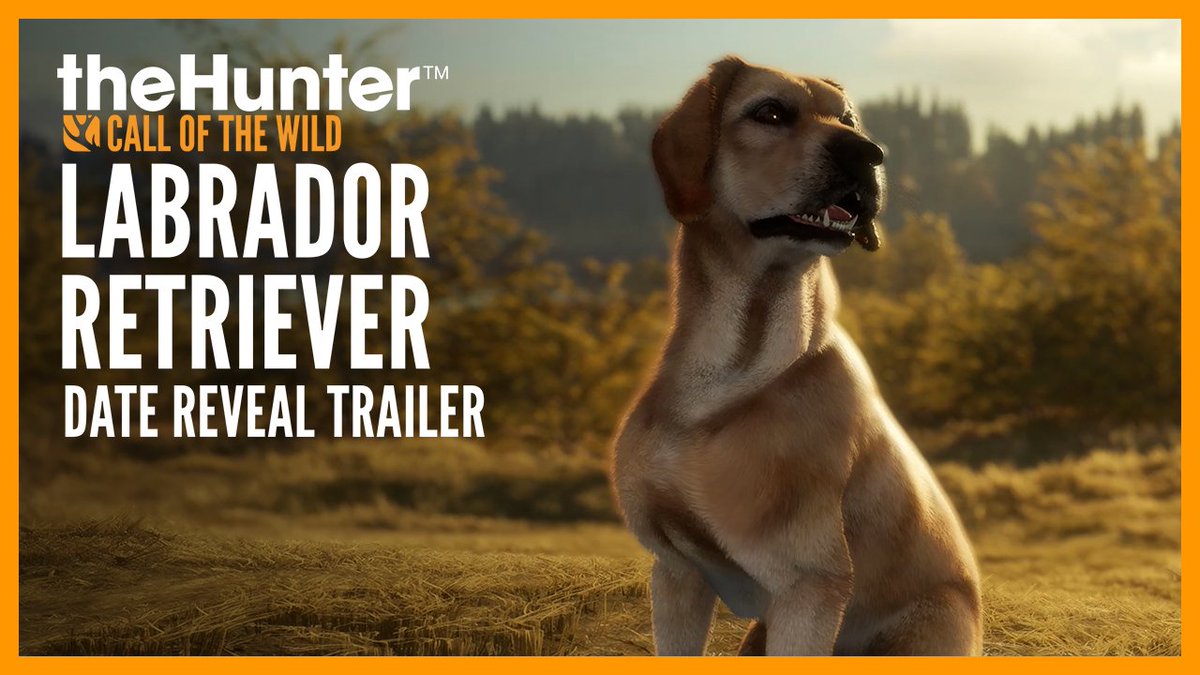 Meet the Labrador Retriever 🐕 Running to your side on November 28th! Read more about your newest furry friend 💛