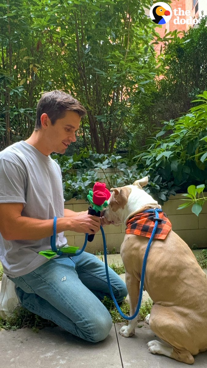 Watch Antoni Porowski go on a blind date with a pittie and treat her to a Lady and the Tramp moment ❤️