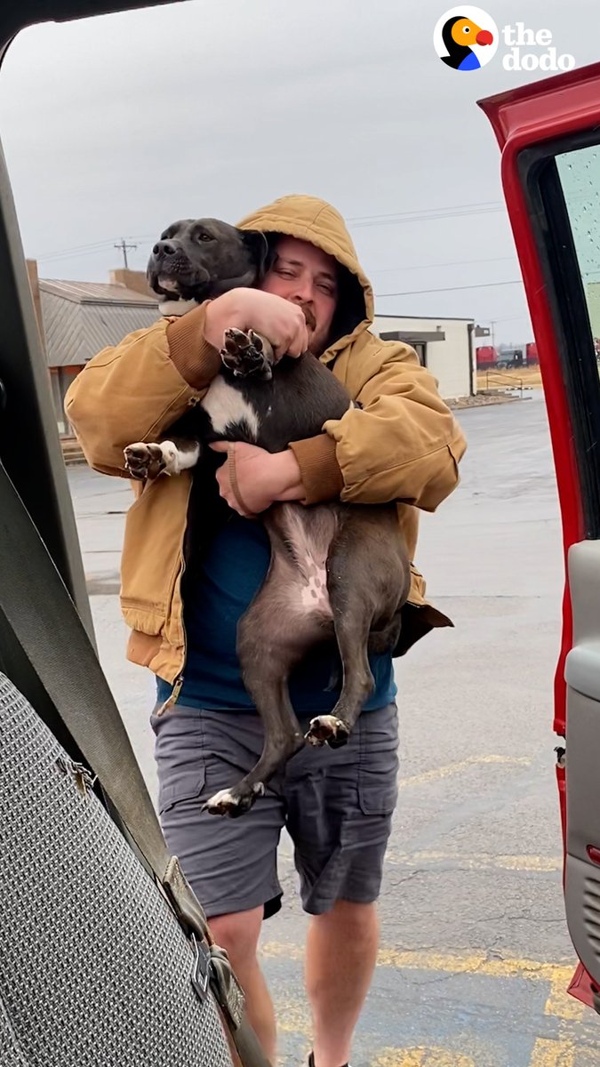 This woman's husband finds an abandoned pittie in a parking lot... but they already have 13 dogs 🙏