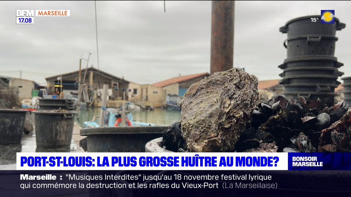 Avec 2,360 kilos, la plus grosse huître du monde a été découverte à Port-Saint-Louis