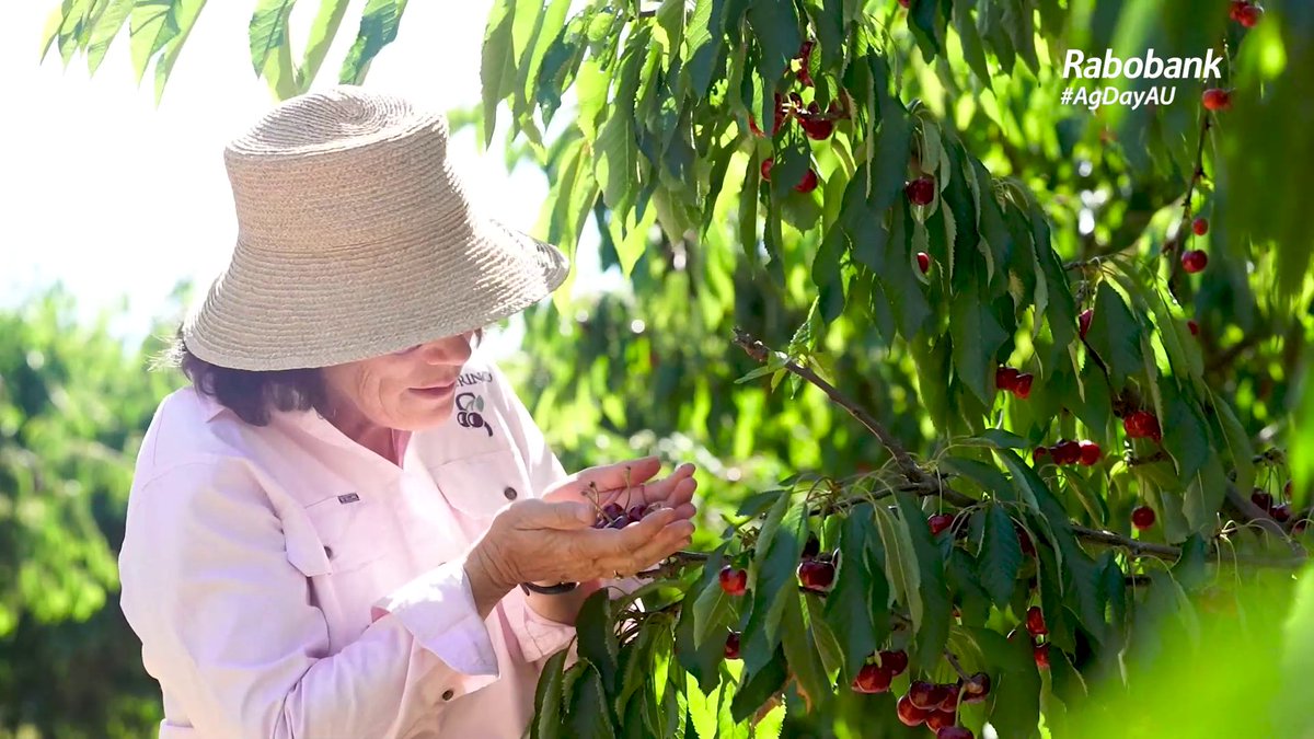 This National Ag Day we’re celebrating our Aussie farmers, & the industry we all rely on. Supporting this year’s theme of #GrowYouGoodThing, we’re thrilled to showcase the world-class food and fibre our farmers produce, that’s part of our lives every day. #AgDayAU AustralianFarmers