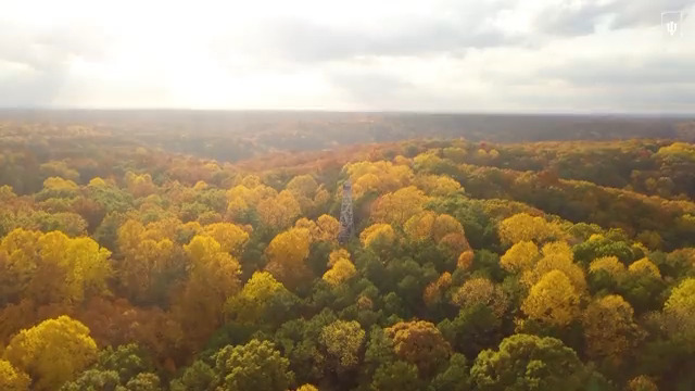 Our views are unmatched. 🍂