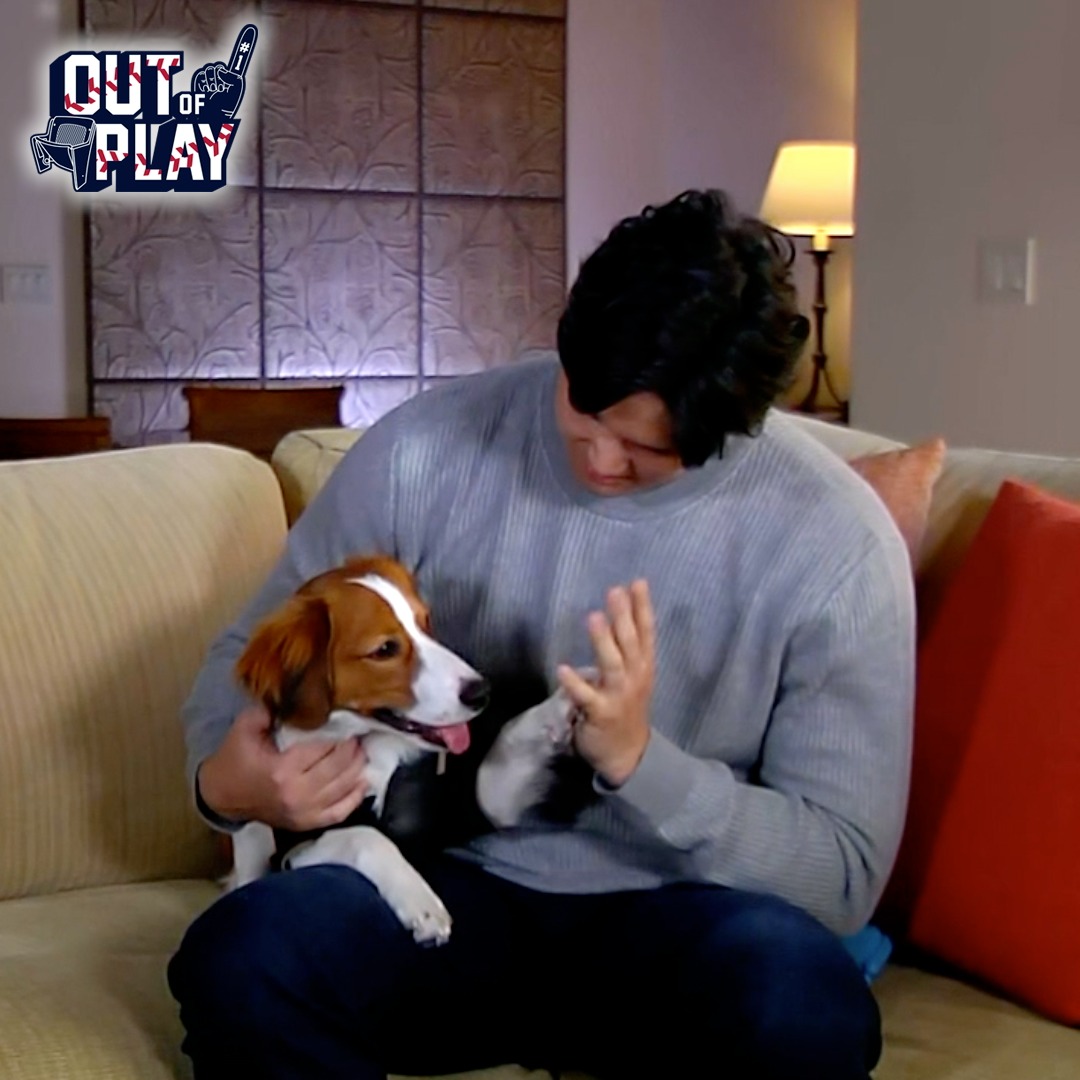 #大谷翔平 がMVP受賞発表時に抱いていたワンちゃんがかわいい!! 『大谷の犬になりたい』などと瞬く間に世界で最も羨ましがられる犬となりました😆 #OutofPlay