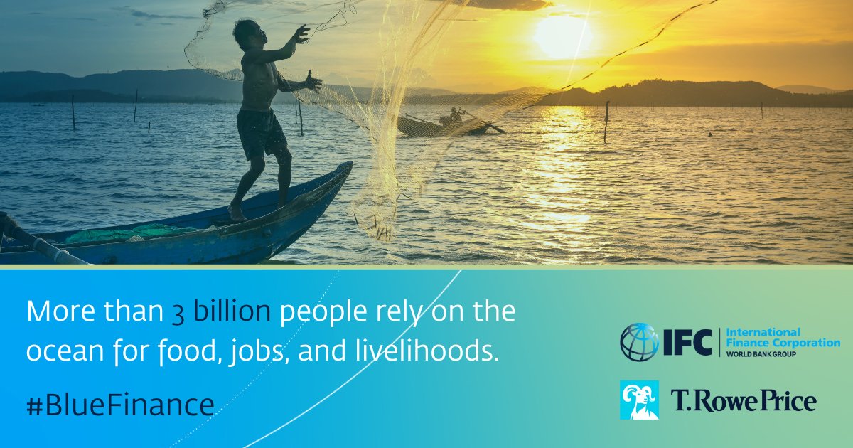 🌊 Blue financing is critical to protecting our oceans and the livelihoods of those who depend on them. By working with partners like T. Rowe Price, IFC is supporting the growing global blue economy: #COP28 #BlueFinance
