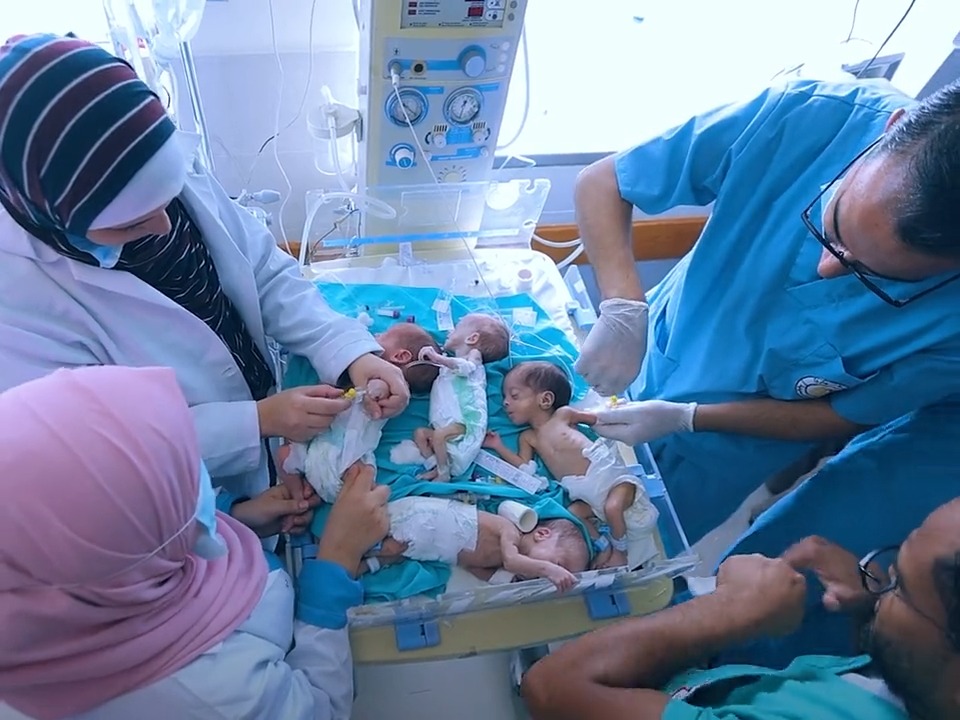 This past weekend 31 babies were rescued from Al-Shifa hospital in northern Gaza as part of an interagency UN effort alongside the Palestinian Red Crescent Society. Many of these babies have now been transferred to hospitals in Egypt to receive the care they urgently need.