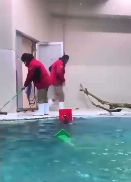 NO CONTEXT HUMANS Give me the job