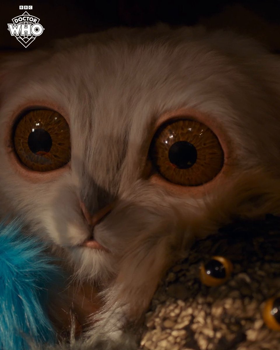 It's Donna versus the Meep! 🧸 For a #DoctorWhoDay treat, watch a clip from the upcoming 60th anniversary special 'THE STAR BEAST' 🛸 #DoctorWho