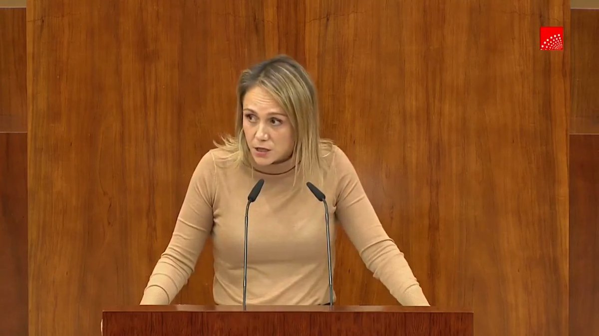 Despacito y por su orden, habrá que decir algo de la amnistía, no? Gracias, PP Asamblea de Madrid y Carlos Díaz-Pache por dejarme hacer esto Aquí estaremos defendiendo siempre la Constitución, la democracia y la libertad 👇🏻👇🏻