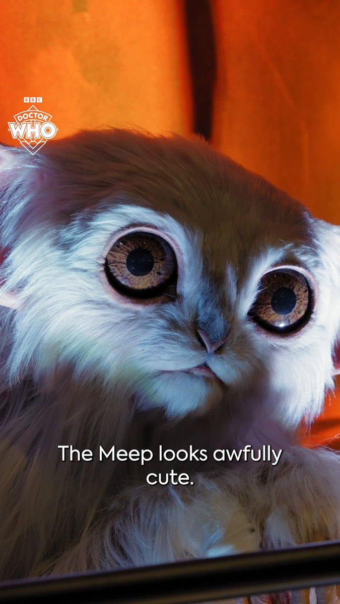 Meep Meep! From the pages of #DoctorWho Magazine to a fully-fledged part of the Whoniverse, find out what the cast and crew think of meeting the Meep in the flesh (or fur)! 🛸