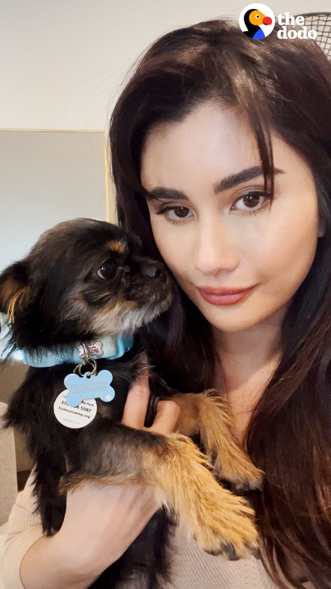 Teeny dog saved from streets loves watching 101 Dalmatians with Mom now 💕 I STAND WITH MY PACK