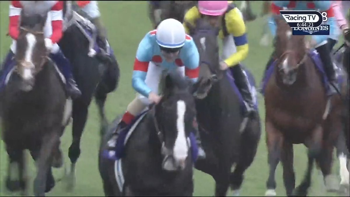 Magnificent - the mighty Equinox is all class in the 2023 Japan Cup! 🇯🇵 #イクイノックス