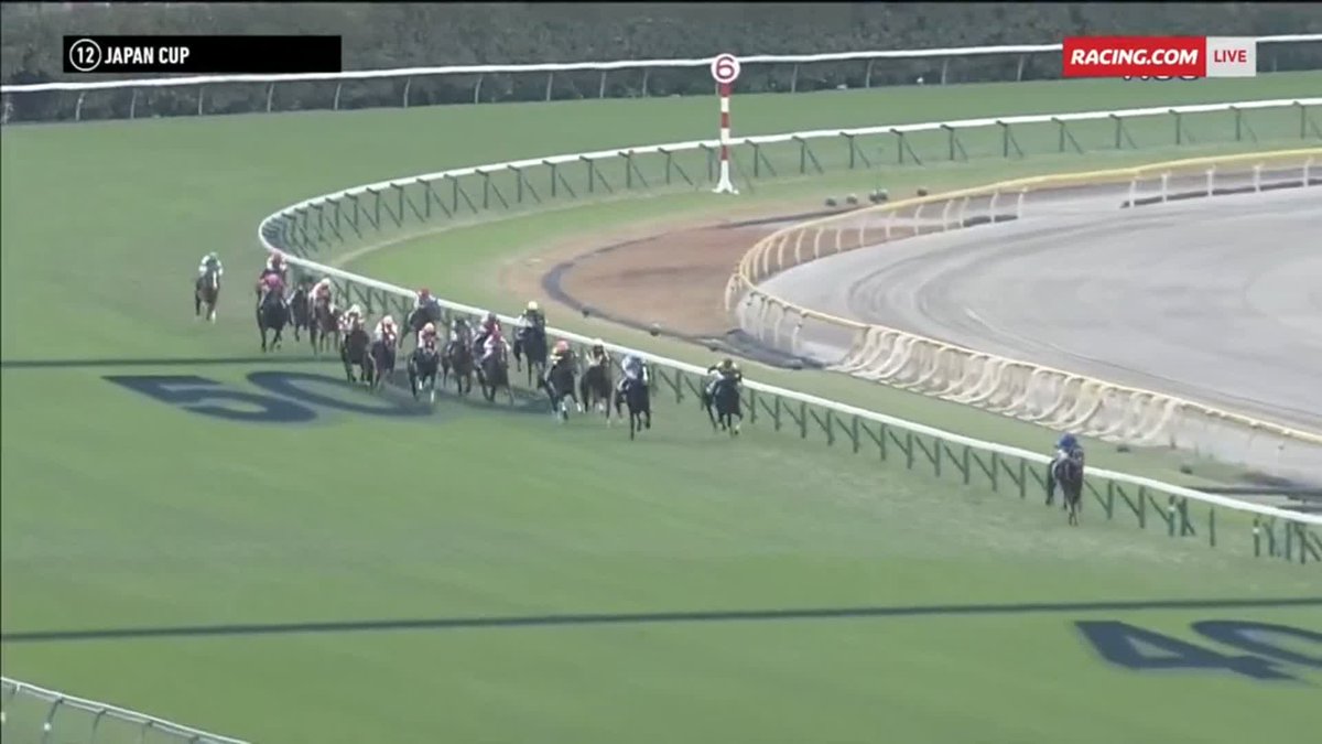 WHAT A CHAMPION 😍 Equinox takes out the Japan Cup with a dominant display for Tetsuya Kimura 🙌 Arrowfield Stud JRA World Racing #JRAWorldRacing #JapanCup #ジャパンカップ #イクイノックス