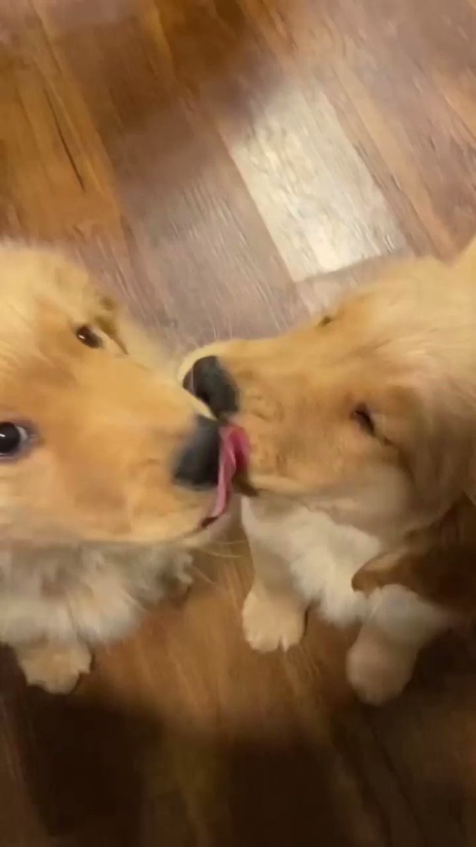 True love exists