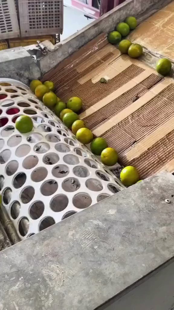 Fruit sorting by size 🍊🍋