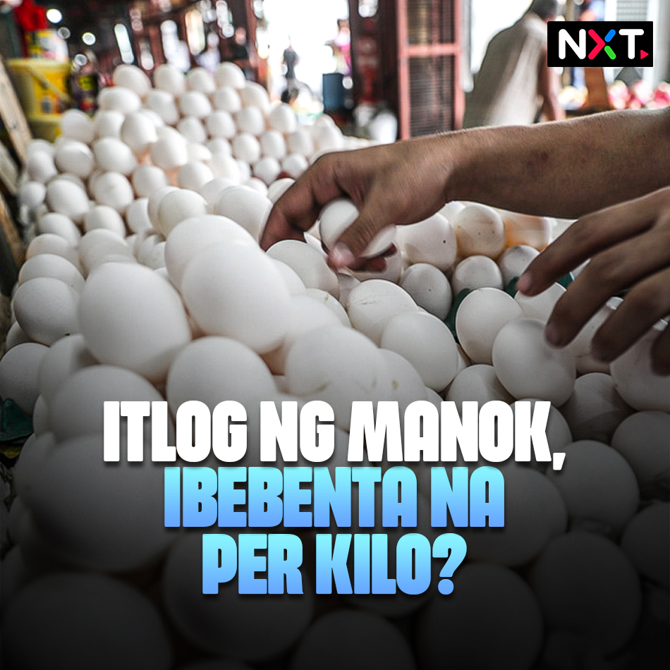 OK lang ba sa'yo ang panukala na gawing per kilo at hindi kada piraso ang bentahan ng itlog sa merkado? Ayon sa Egg Council of the Philippines, may ganitong proposal ngayon dahil sa reklamo ng mga mamimili tungkol sa kalituhan sa tamang presyo at laki ng binibili nilang itlog. #NXT Buong ulat: