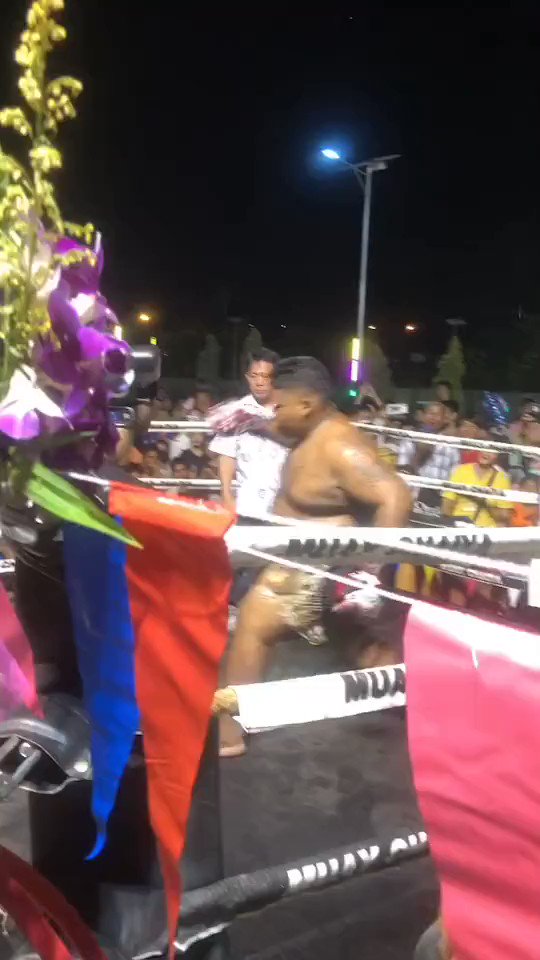 Teemee Vs Toro