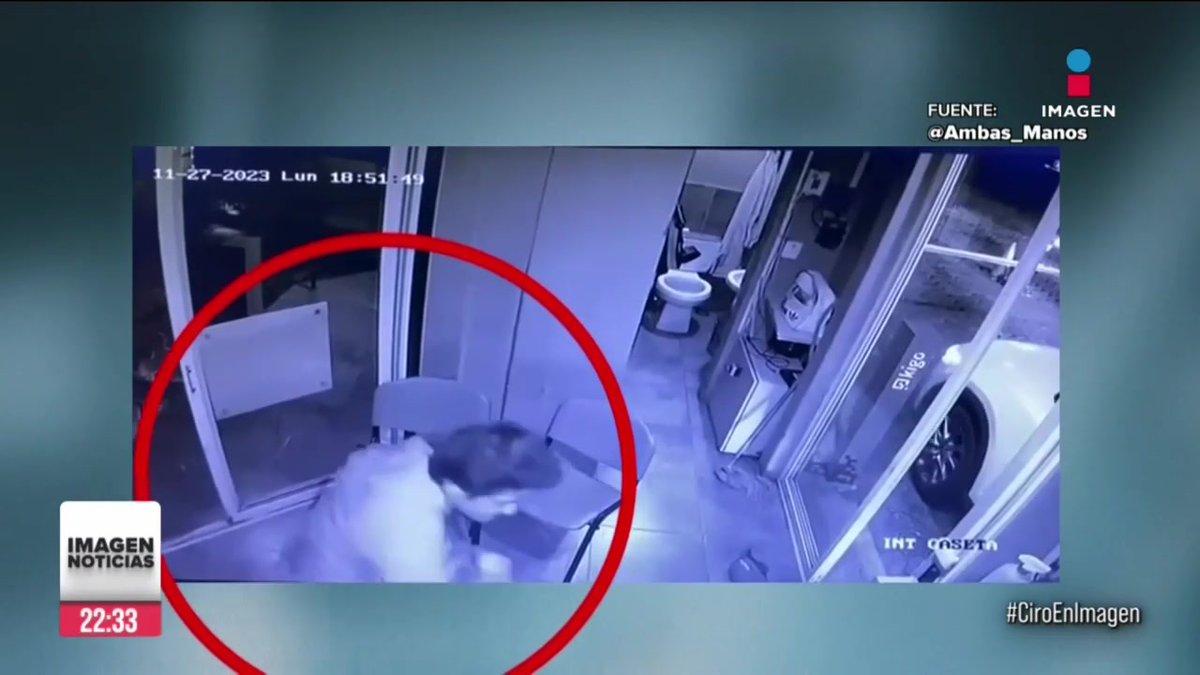 #CiroEnImagen Cámaras de seguridad captaron el momento en el que un joven golpeó a un guardia de seguridad del residencial Lomas de Angelópolis, en #Puebla. Los primeros reportes aseguran que el joven enfureció cuando el guardia pidió presentar una identificación: