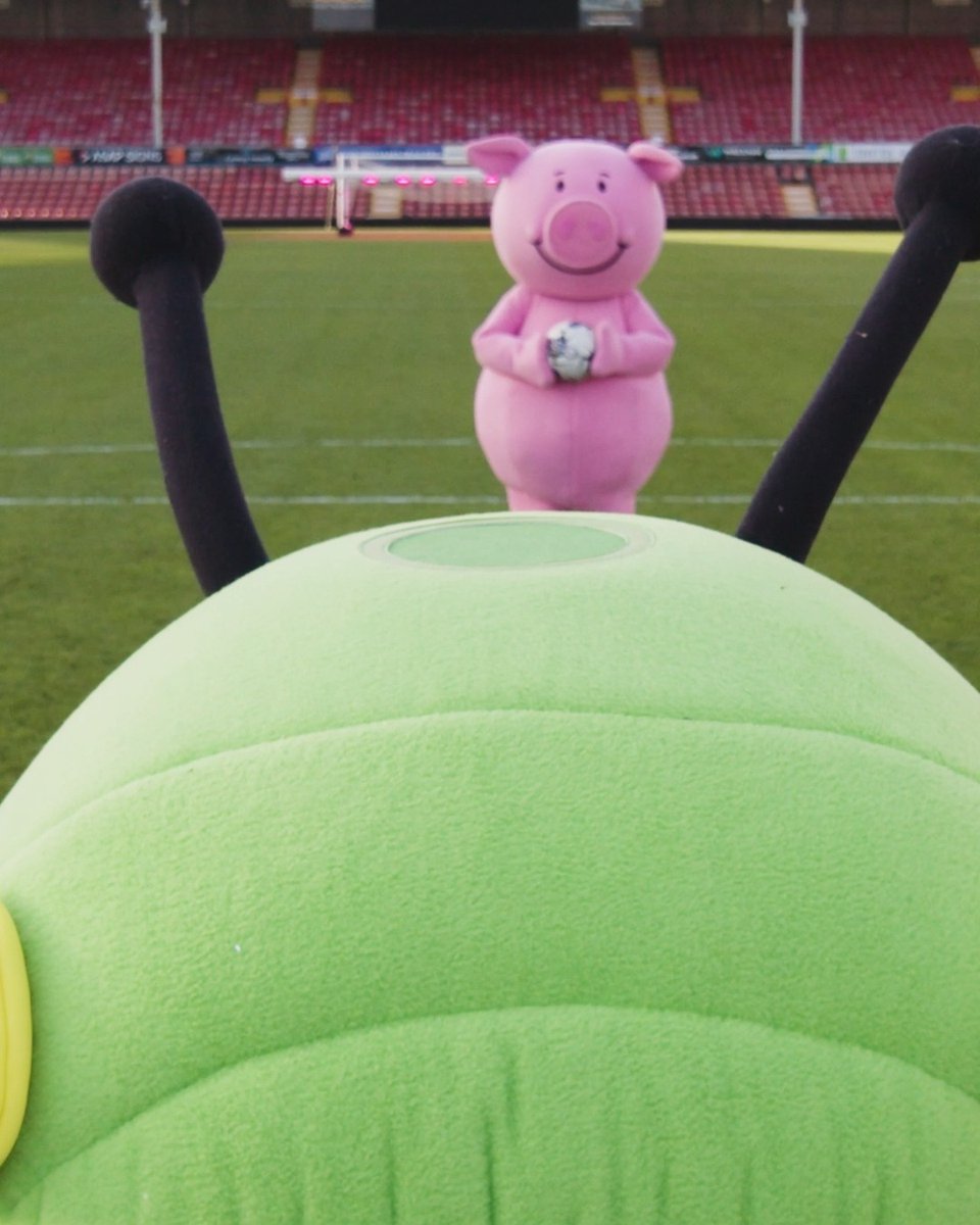 🚨 HERE WE GO! 🚨 Introducing Wrexham A.F.C's newest signings... Percy Pig and Colin the Caterpillar! 🐷🐛 Who'd love to see them run out for the town against Yeovil in the cup? 😆