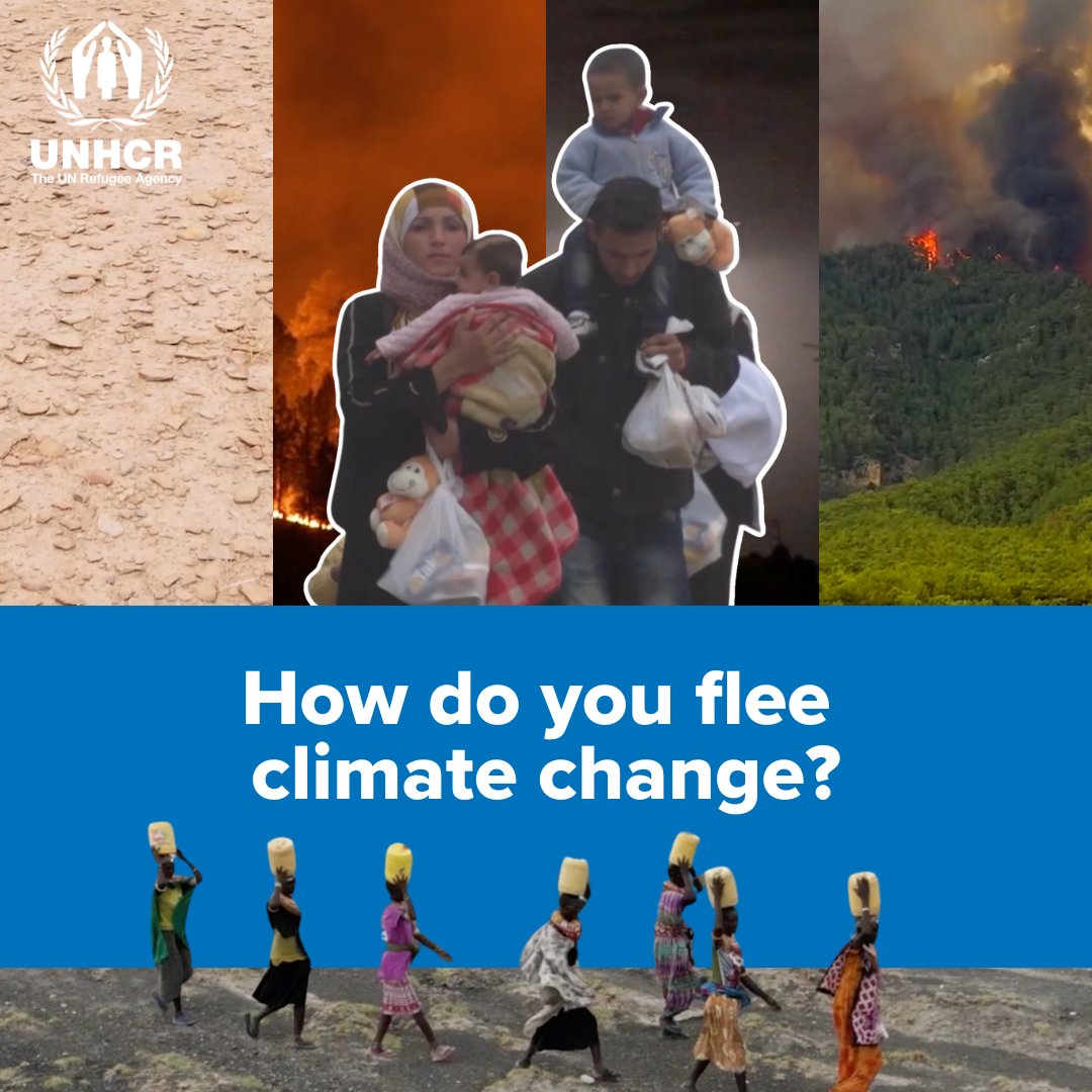 As world leaders gather for #COP28, we have an important question. How do you flee climate change?