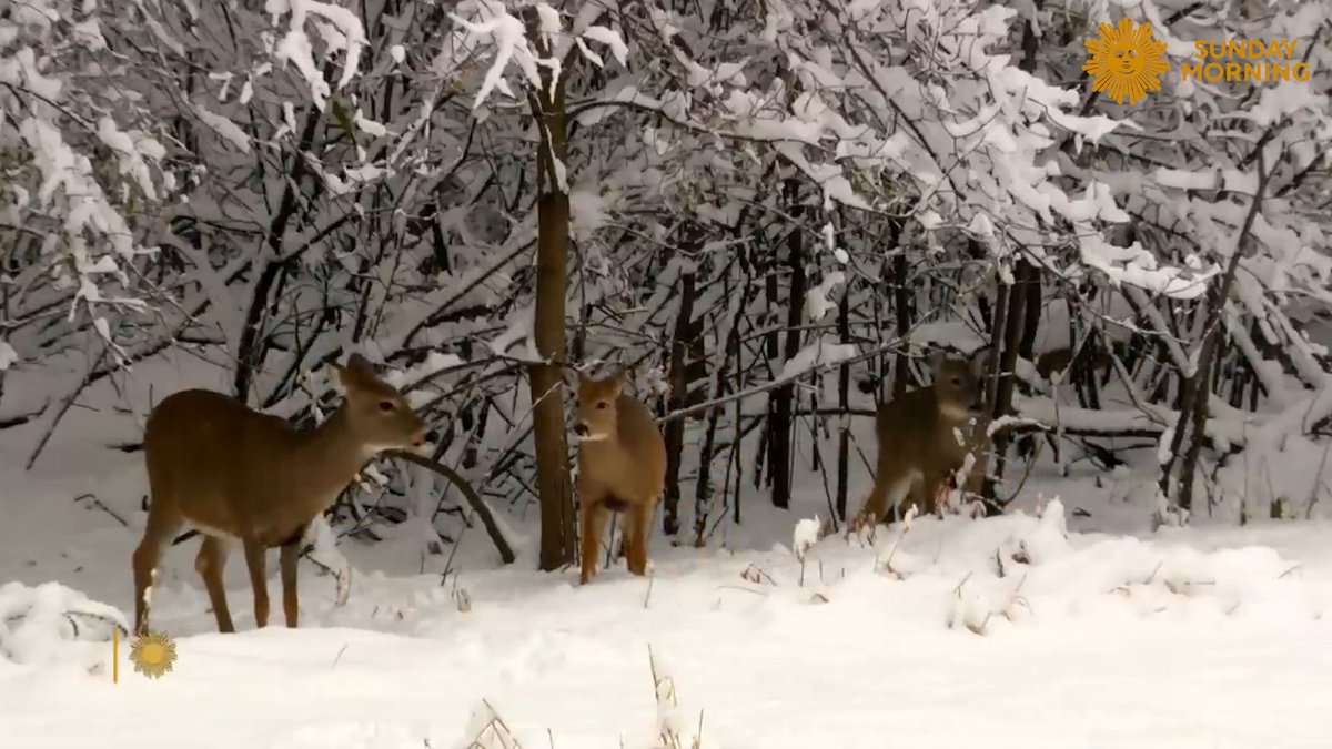 We leave you this Thursday evening in a winter wonderland, at Good Earth State Park in South Dakota. Videographer: Kevin Kjergaard.
