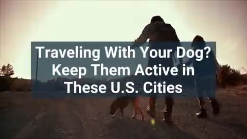 Traveling With Your Dog? Keep Them Active in These U.S. Cities