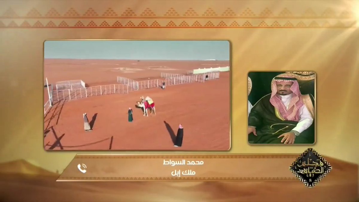 #مجلس_الصياهد 🐪 مداخلة مع مالك الإبل: محمد السواط للحديث عن مشاركته في #مهرجان_الملك_عبدالعزيز_للإبل8 #عز_لاهلها