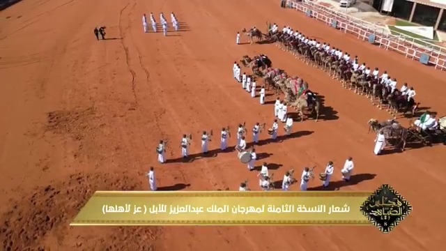 عبر #مجلس_الصياهد⁩ 🐪 تقرير مفصل عن: #مهرجان_الملك_عبدالعزيز_للإبل8⁩ #عز_لاهلها
