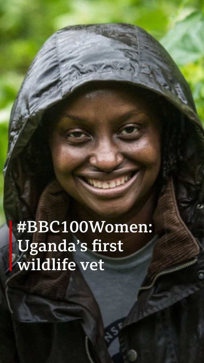 🇺🇬 Gladys K Zikusoka is Uganda's first wildlife vet and has spent the last 27 years working to save the country’s endangered mountain gorillas, whose habitat is being eroded by climate change. She is one of the BBC’s 100 Women for 2023. BBC 100 Women #BBC100Women