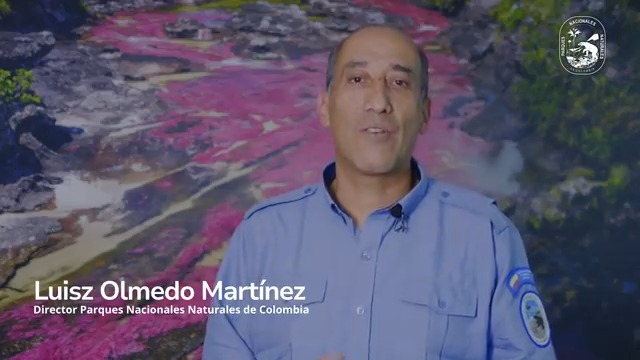 Hoy en Colombia celebramos la declaratoria del área protegida #65 bajo la administración de Parques Nacionales Naturales, se trata del Parque Nacional Natural Serranía de Manacacías, ubicado en el municipio de San Martín de los Llanos, Dpto. del Meta. #ManacacíasÁreaProtegida🏞️