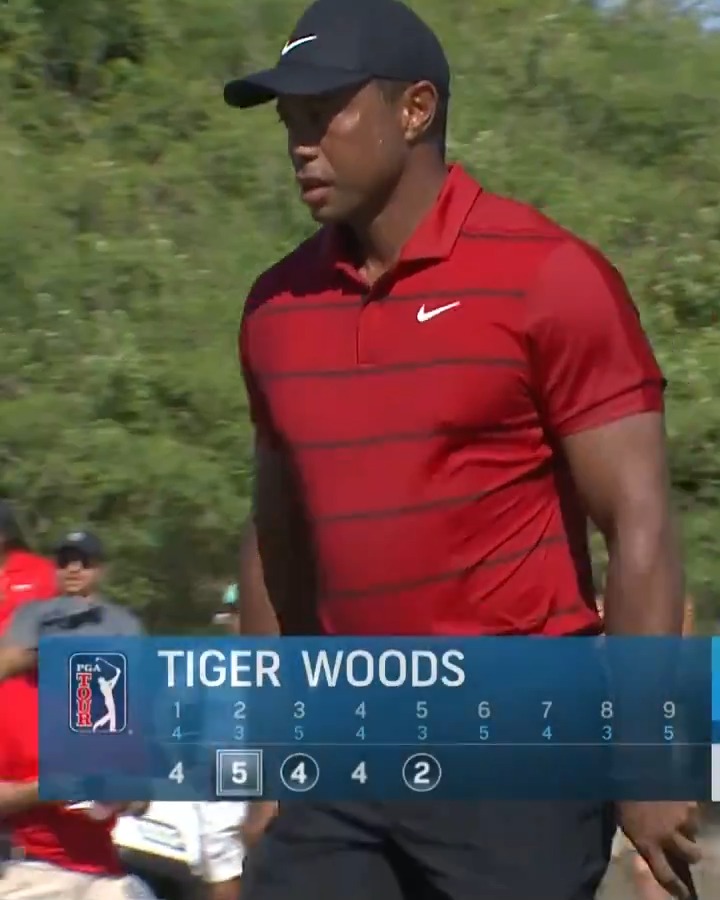 The year is 2023. Tiger Woods is wearing red and making birdies 🐅