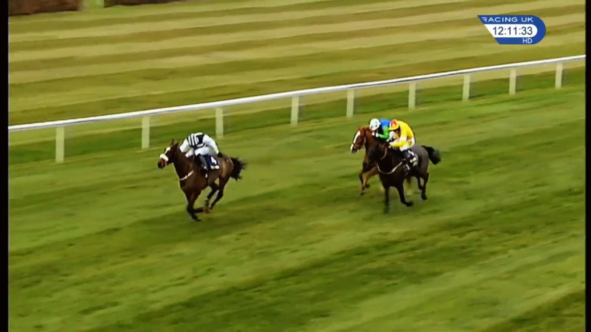 The 2004 Tingle Creek - a race to savour at Sandown Park 😍 🥇Moscow Flyer 🥈Azertyuiop 🥉Well Chief Jessica Harrington | Betfair