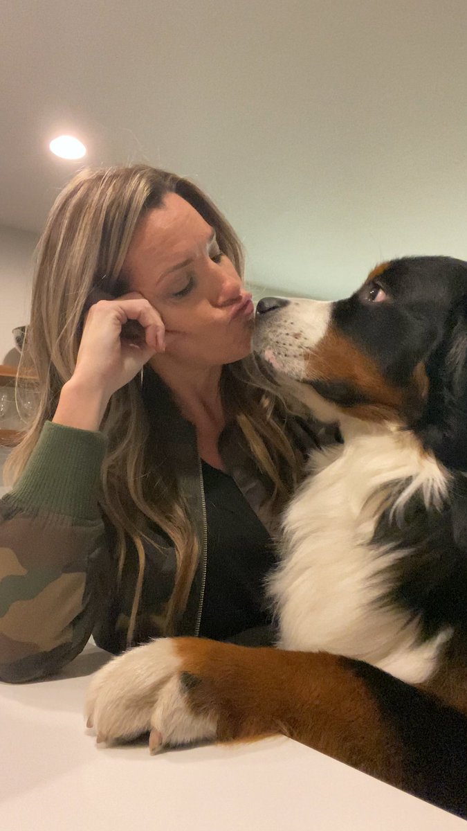 Very needy Bernese mountain dog figures out a surefire way to get Mom's attention — and makes the funniest sound when he's ignored ❤️