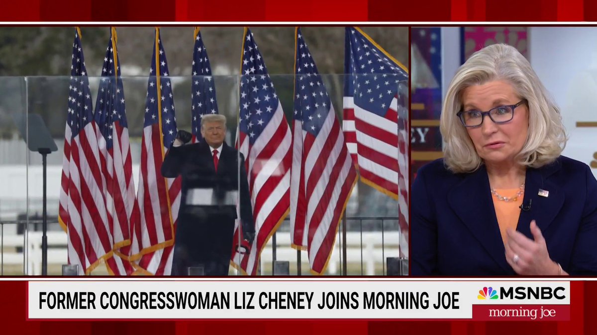 .Liz Cheney: "People need to think about what it means when a president won't enforce court rulings he disagrees with. As soon as that happens...we're unraveling the fundamental structures and systems that make us a nation of laws, so there won't be any guardrails to stop him."
