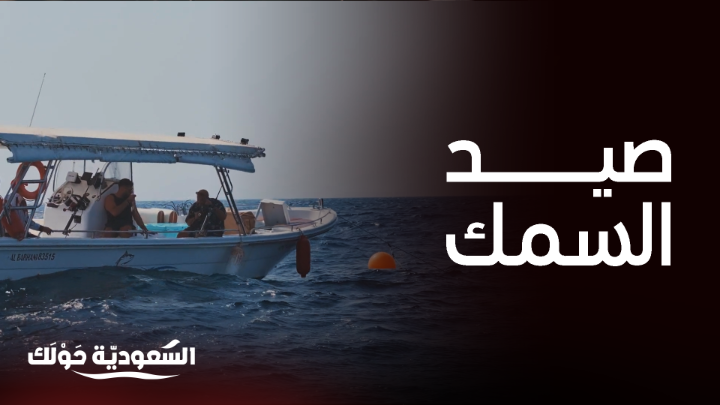 رحلة الشيف علي الغزاوي إلى سوق السمك وتجربة الصيد في بحر جدة 🐠✨ #السعودية_حولك #روح_السعودية روح السعودية Ali Ghzawi يعرض الآن مجاناً على شاهد بعد عرضه على الشاشة