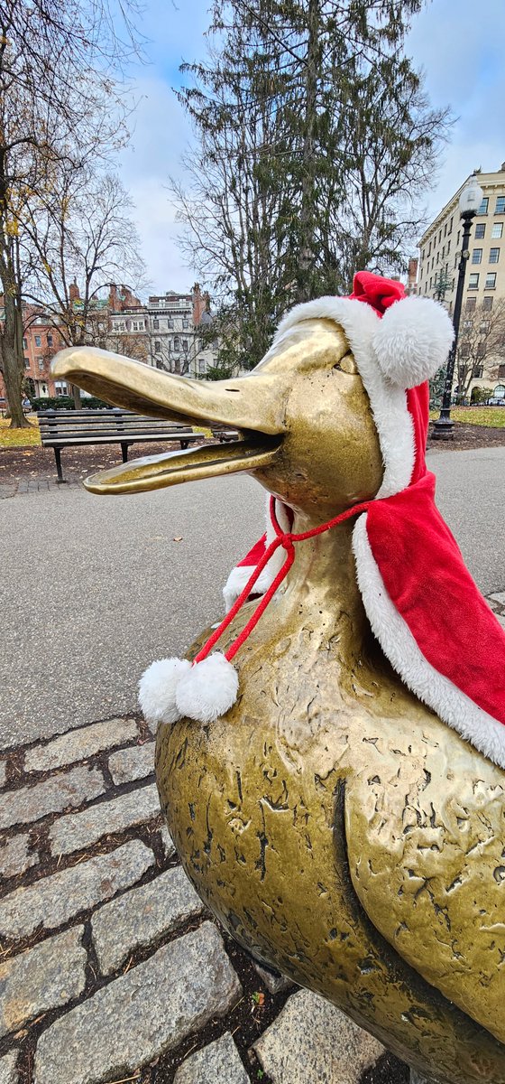 Someone has dressed up Boston's ducklings for the holiday season. ❤️
