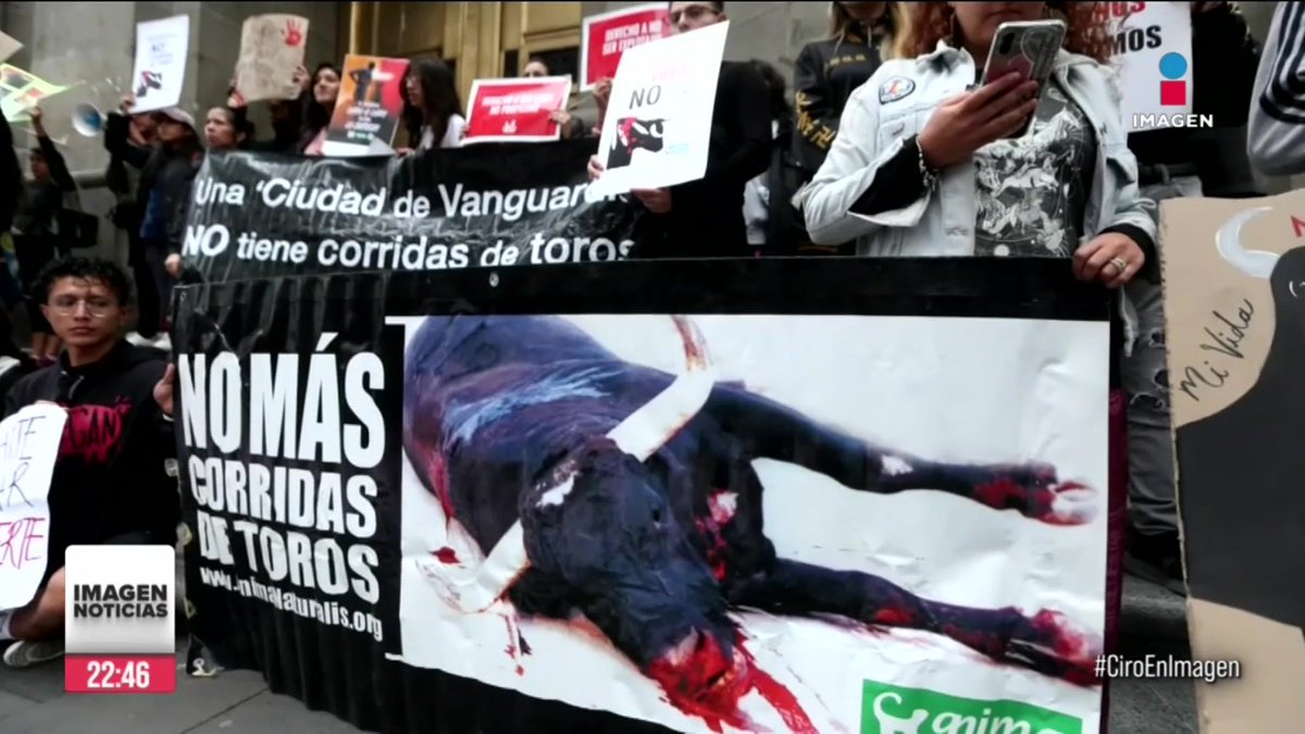 Manifestantes a favor y en contra de las corridas de toros se plantaron afuera de la #SCJN, donde se iba a discutir la suspensión que un juez otorgó en 2022 a una organización antitaurina. Finalmente, la Corte autorizó reanudar las corridas de toros en la Plaza México.