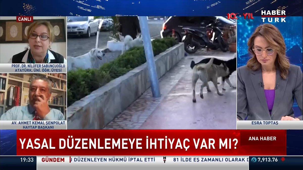 Başıboş köpeklere düzenleme gelir mi? Yasal düzenlemeye ihtiyaç var mı? Atatürk Üniversitesi Öğretim Üyesi Prof. Dr. Prof.Dr. Nilüfer Sabuncuoğlu #AnaHaber'de değerlendirdi.
