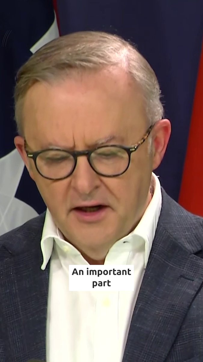 Anthony Albanese says the government will announce a plan to bring immigration to Australia back to “sustainable levels”. Read more: