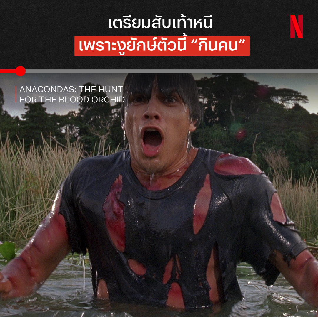เจออนาคอนดาแผลงฤทธิ์ เข้าป่า = ขิตยกแก๊ง 💀🩸 บอกเลยว่า #AnacondasTheHuntForTheBloodOrchid ดูจบแล้วไม่กล้าเข้าป่า เพราะนักสำรวจคิดผิดมหันต์ที่เข้ามาสำรวจในป่าแห่งนี้ เพราะมันคือดงที่งูยักษ์อยู่มาจนโตเต็มที่ ตามมาเอาชีวิตรอดไปกับพวกเค้าได้เลยที่ #NetflixTH