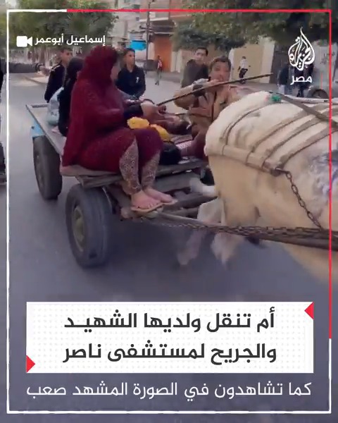 ثبات أم فجعت بأبنائها.. فلسطينية تنقل أبناءها ضحايا القصف الإسرائيلي إلى مستشفى بجنوب #غزة