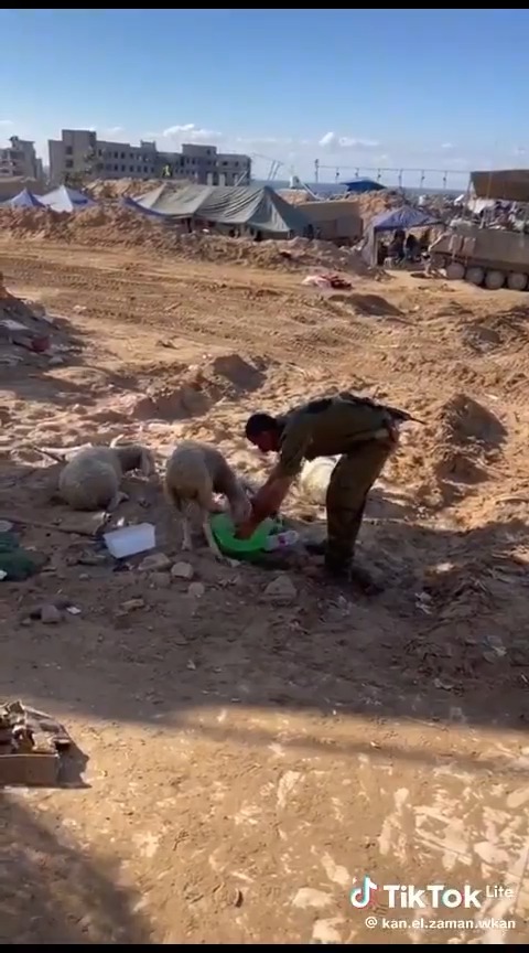 الإنسان حباه الله بالقدرة على حب كل المخلوقات الحية بما فيها الحيوانات لكن في ساحة القتال يكتسب هذه المنظر المزيد من الأهمية! جيش الدفاع جيش الانسانية