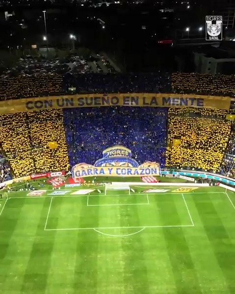 Tigres el único equipo de México que le ha ganado una final a Chivas, Pumas y América… ¡EL NUEVO GRANDE DEL FUTBOL MEXICANO! 🔥🔥🔥