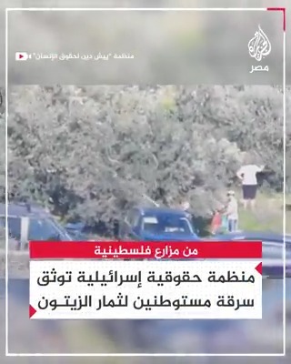 مستوطنون إسرائيليون يسرقون ثمار الزيتون قرب قرية عورتا الفلسطينية تحت حماية الجيش الإسرائيلي