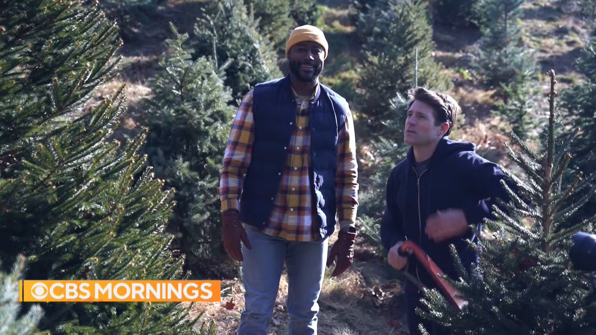 What does it take to find the perfect Christmas tree? 🎄 Tony Dokoupil and Nathaniel E Burleson visited a tree farm to make their own selection — and spread some holiday cheer.