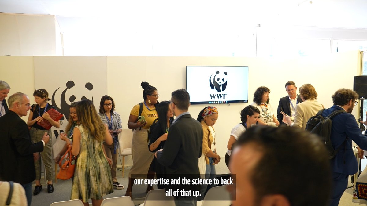 The clock is ticking. #COP28 is coming to a close and countries have yet to agree on a fossil fuels phase out. This is urgent. We have been at the climate summit calling for action. 👇 World leaders: it's time to step up. RT if you want to see change happen NOW!